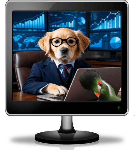 Pet Web developer