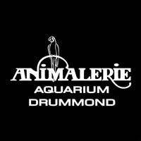 animalerie-aquarium-drummond-logo