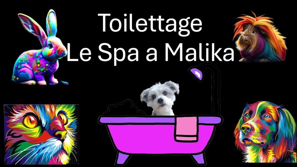 Soins aux animaux domestiques