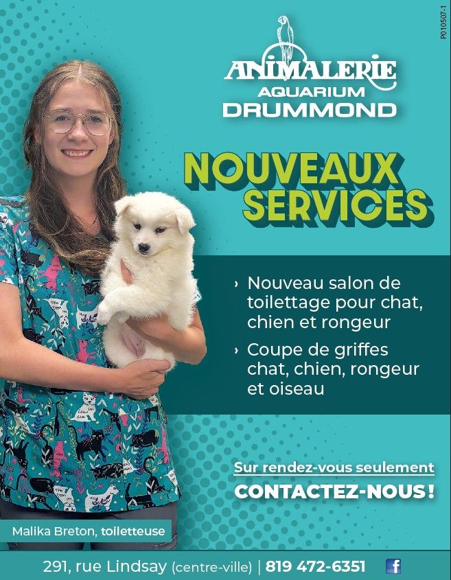 Toilettage animaleriedrummond.ca